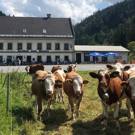 Gasthof Zum Maurer Hotel Mariazell Kültér fotó